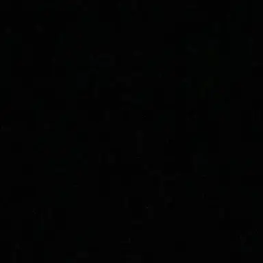 Profile image of R