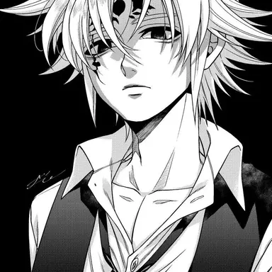 Profile image of メリオダス
