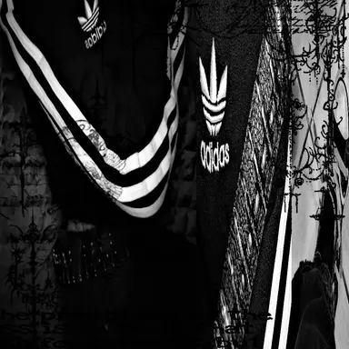Profile image of 윤태인