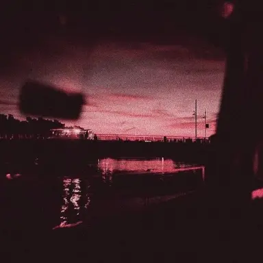 Profile image of 채밤비