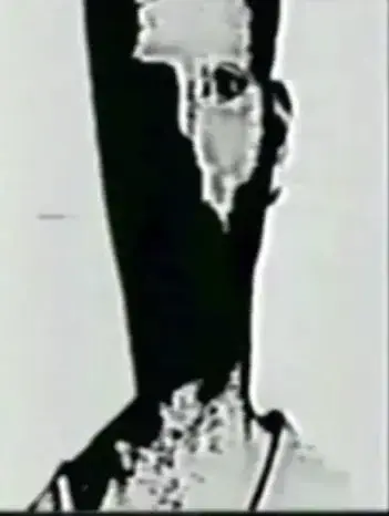 Profile image of The Mandela Catalog