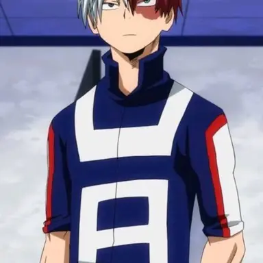 Profile image of Shoto Todoroki