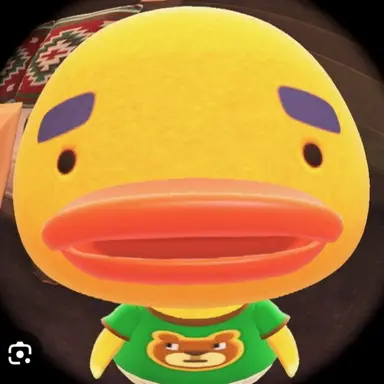 Profile image of 여우