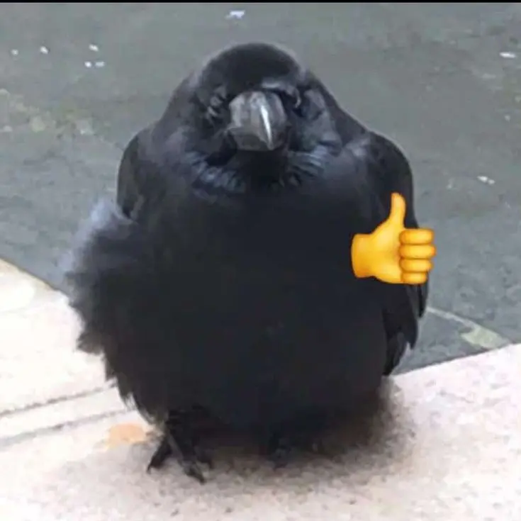 jwvduz의 ✧ʕ̢̣̣̣̣̩̩̩̩·͡˔·ོɁ̡̣̣