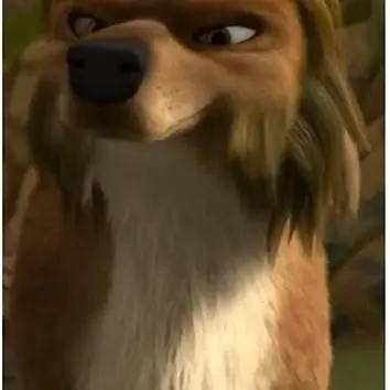 Profile image of Tony
