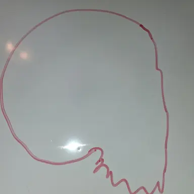 Profile image of Self