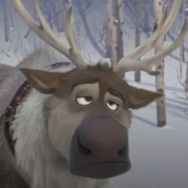 Profile image of Sven