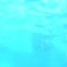 Profile image of 휘안석