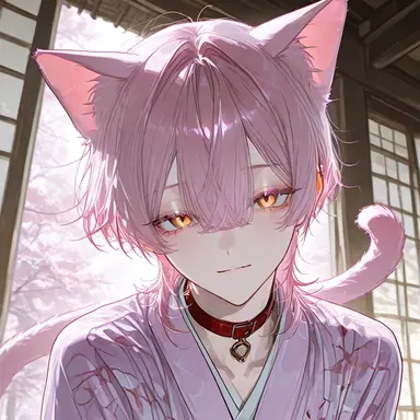 Profile image of 모모