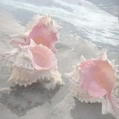 Profile image of 밥풀
