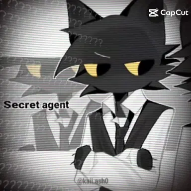 Profile image of Secret Agent