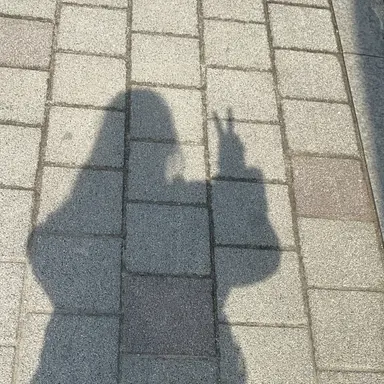 Profile image of 김수환