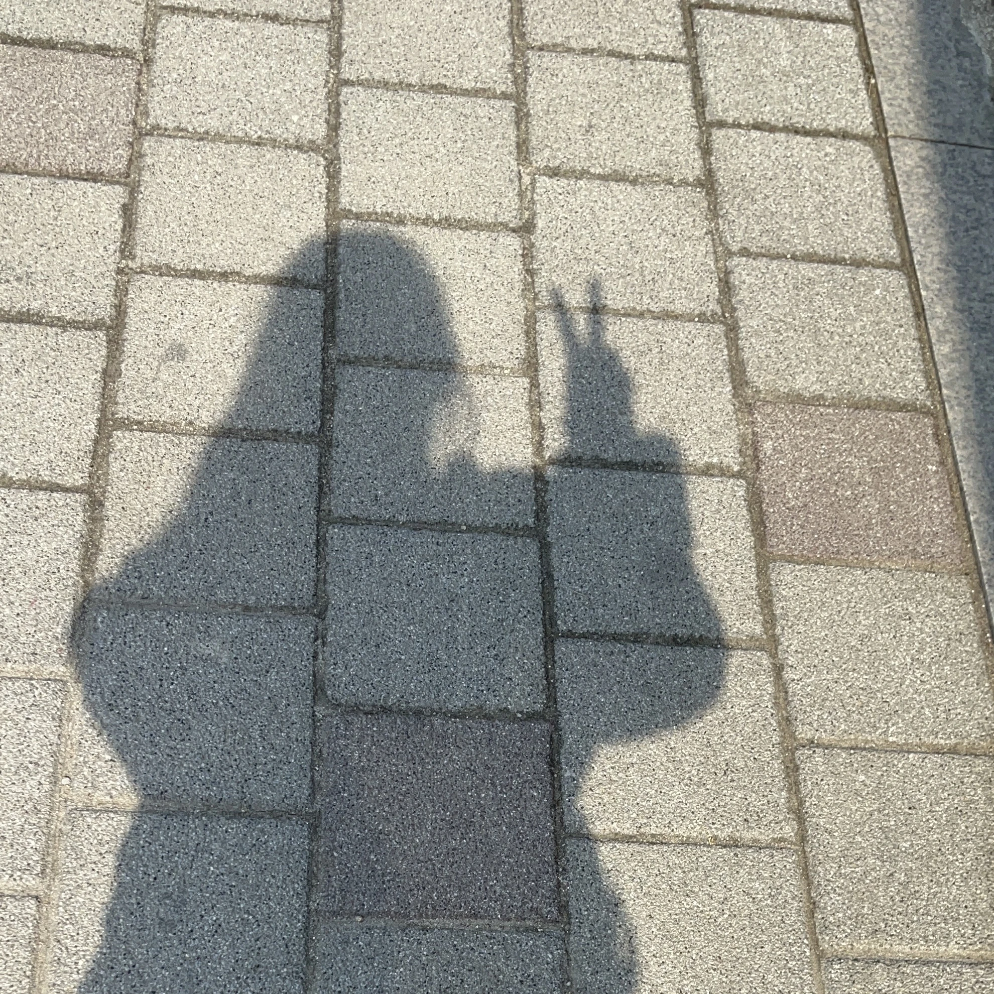 김수환