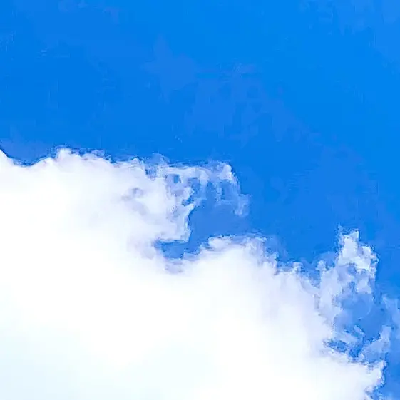 c00lkid의 🩵포사켄 인어 낚시터🩵