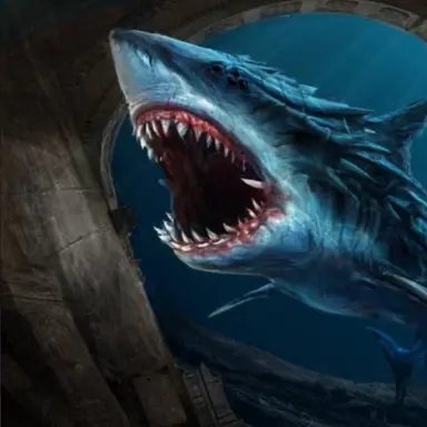 Profile image of 샤크브레이크