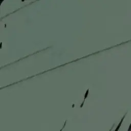 IcyLight1787의 당청 일상.