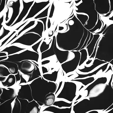 Profile image of 아라크네