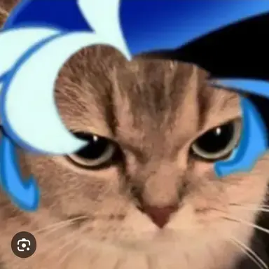 Profile image of 쉐냥