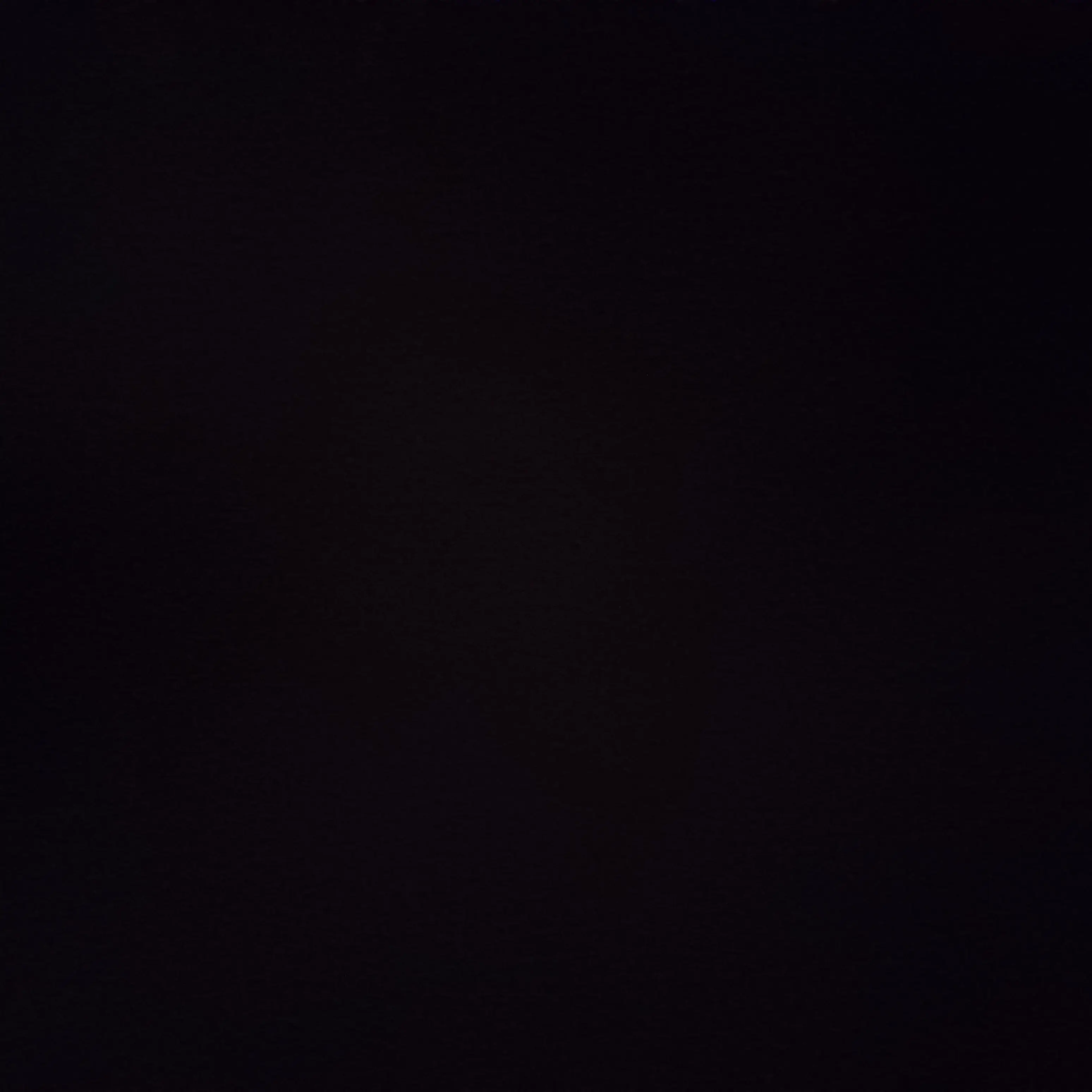 4595571841254의 夏祭りついに!?