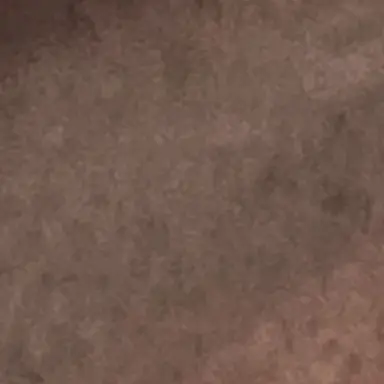 Profile image of そうた