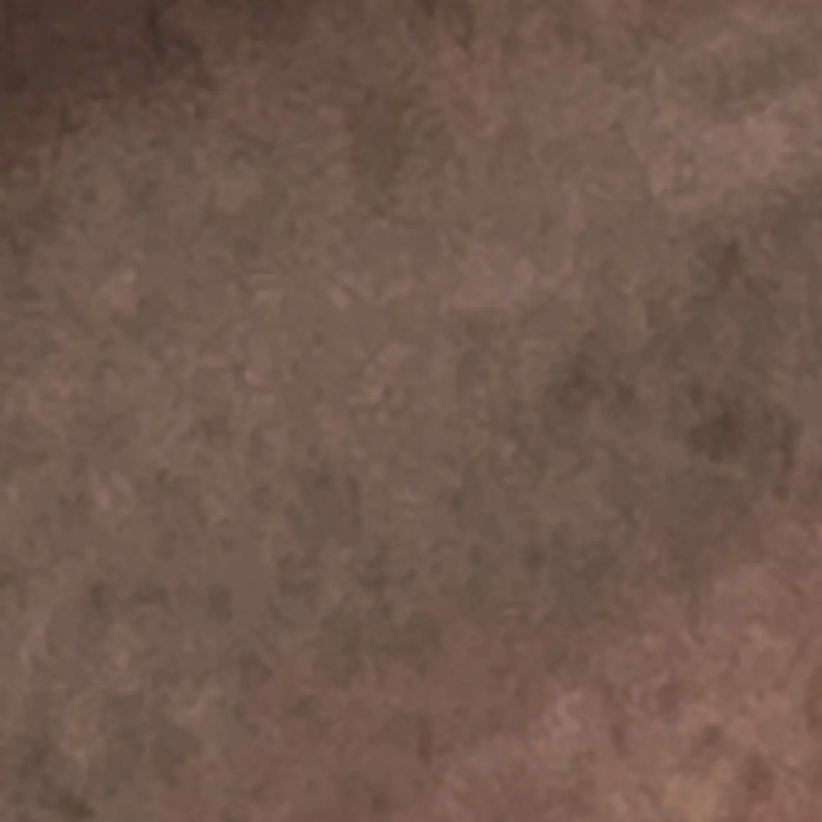 GentleJudge9801의 部活の先輩