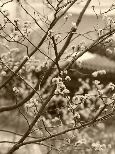 sxydynamitehwang의 황현진