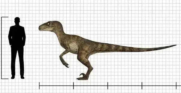 Profile image of Velociraptor