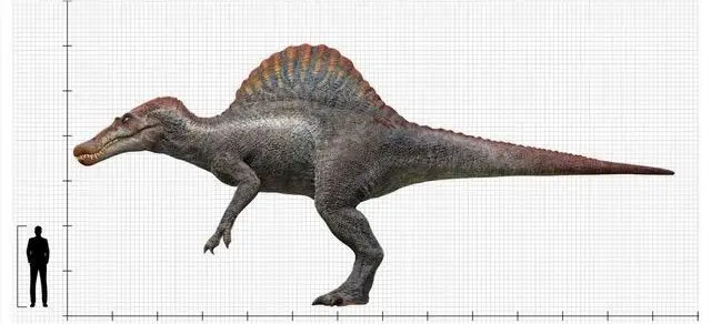 Profile image of Spinosaurus