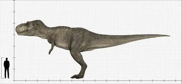 Profile image of Tyrannosaurus