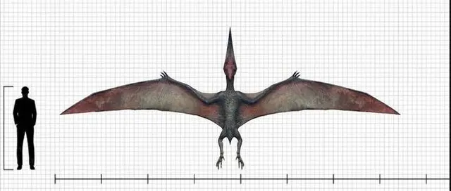 Profile image of Pteranodon