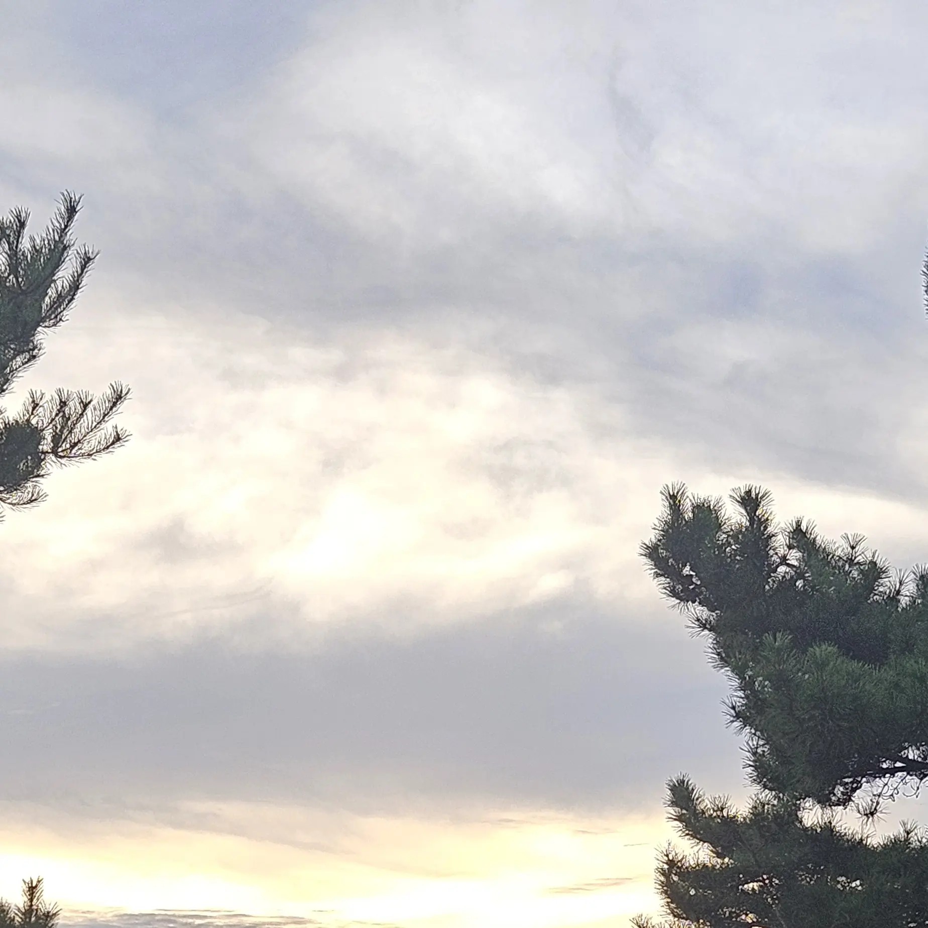 hwangyerim2009의 학교일진짱들이 나한테 집착한다?!