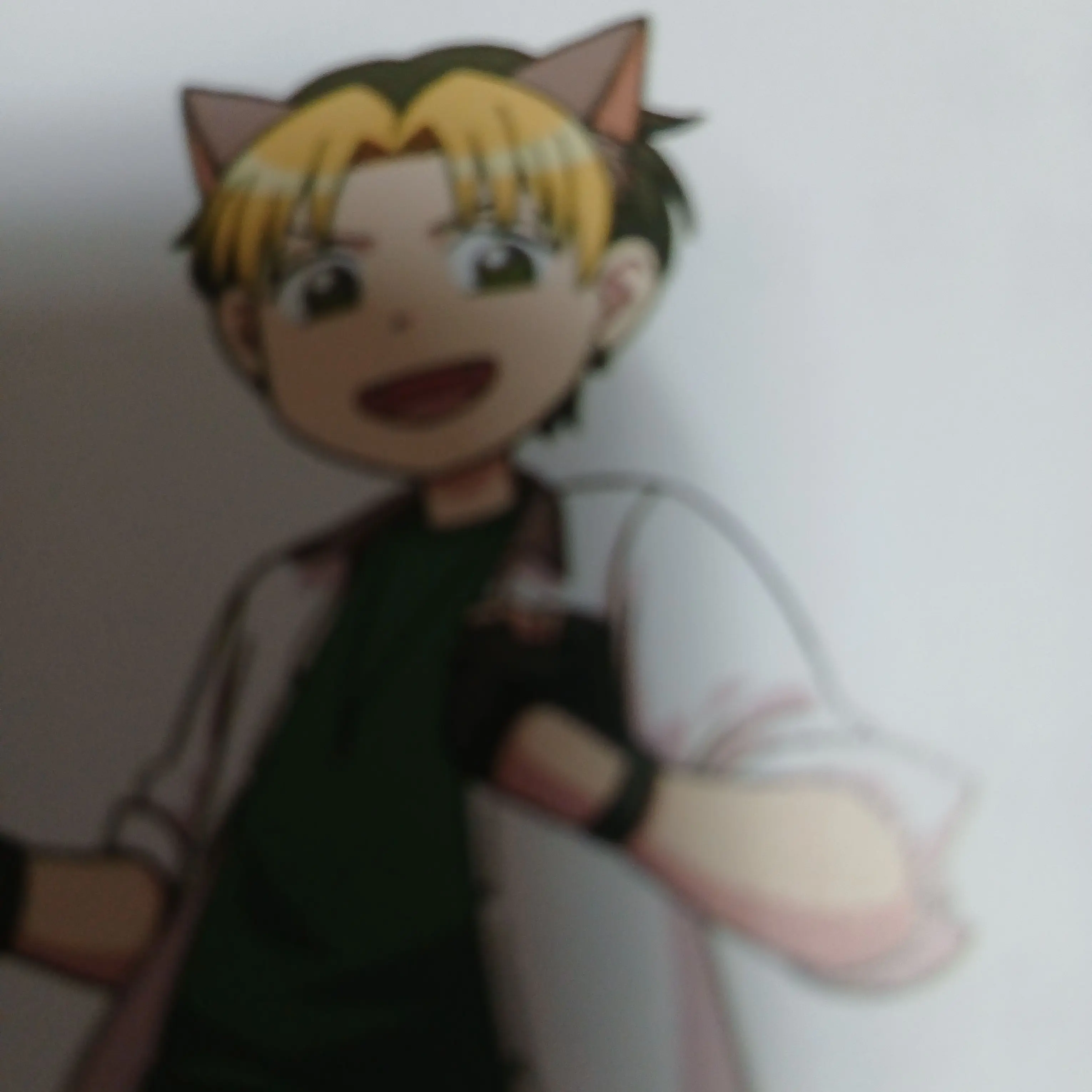 Bjsp0xwvday의 환생학교 요괴반