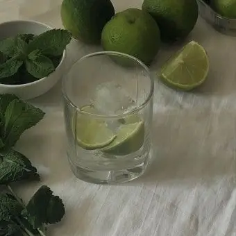 Bjsp0xwvday의 환생학교 요괴반