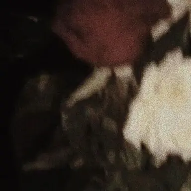 Profile image of はると