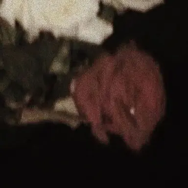 Profile image of ハルト