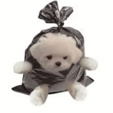 Profile image of 권혁진