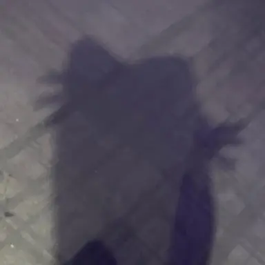 Profile image of 김태영