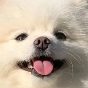 Profile image of 김루디