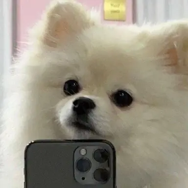 Profile image of 멍사장