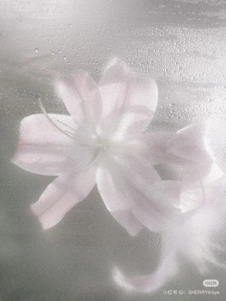 sl._ys25_의 xo....?♥