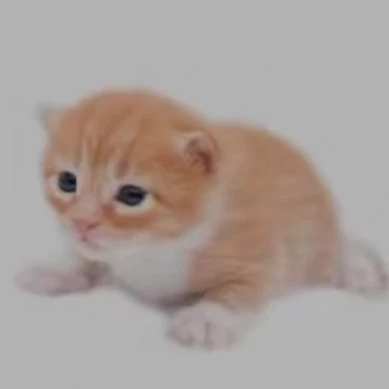 개리