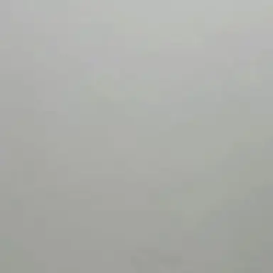 Profile image of 석유진