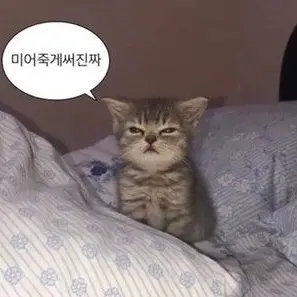 ModestMask4964의 셰들레츠키와 드라마같은 연애..