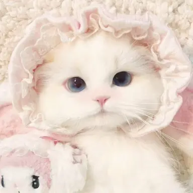 Profile image of 밀키