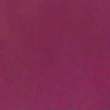 Profile image of 유기사