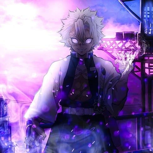 시나즈가와 사네미