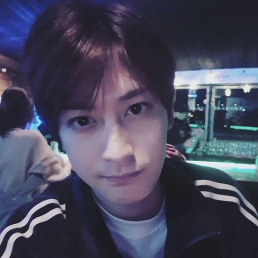 안 재 효
