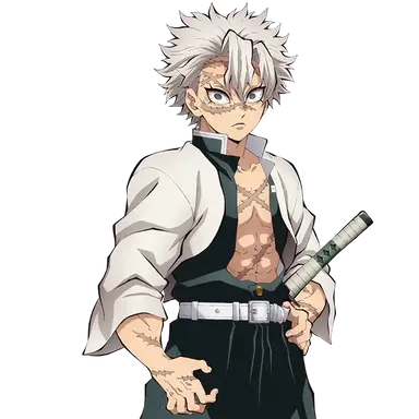 Profile image of 시나즈가와 사네미