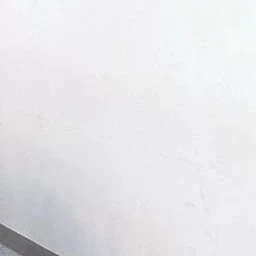 데.이.식.스.