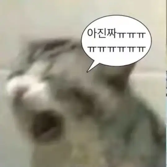 chx.y2xn의 개빡친 문서윤